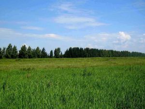 продажа земельный участок с/х назначения в Терской области – 14 гектар